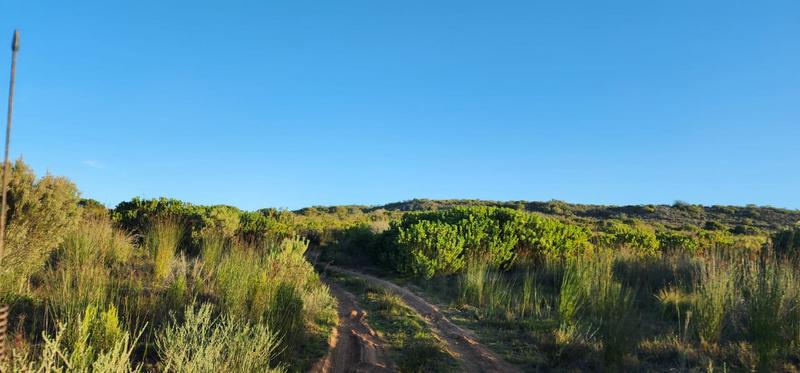 0 Bedroom Property for Sale in Albertinia Western Cape